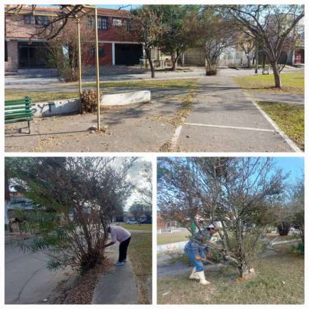 Mantenimiento de plazas y espacios verdes