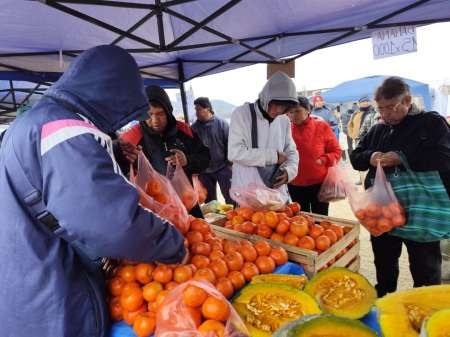 “El mercado en tu barrio” vuelve a la zona sur