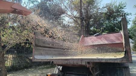 Chipeado de restos de poda