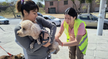 Conoce los puestos de vacunación antirrábica