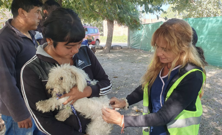 Cronograma de vacunación antirrábica