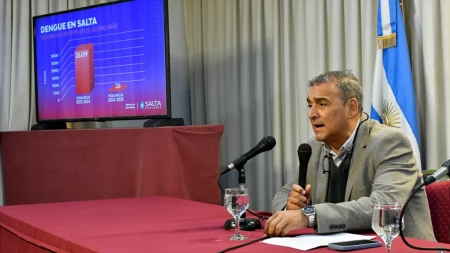 Los casos de dengue disminuyeron un 99,9%