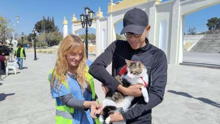 Vacunación antirrábica en la zona sur