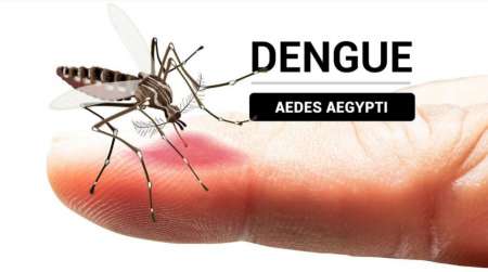 Plan Estratégico para la prevención del dengue