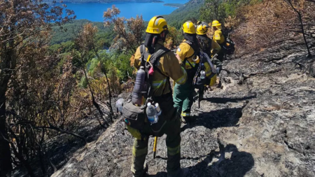 La Brigada Forestal de Salta amplía tareas en Los Alerces