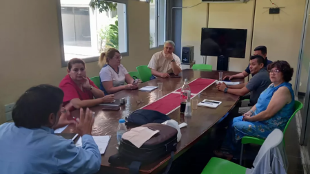 Salta registra 11 casos de chikungunya