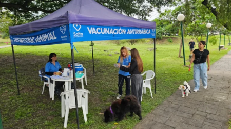 Vacunación antirrábica