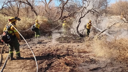 Intensificaron los trabajos contra los incendios en Cafayate