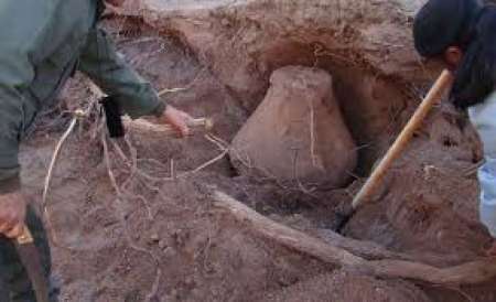 Encuentran restos arqueológicos en Rosario de Lerma mientras araban una finca