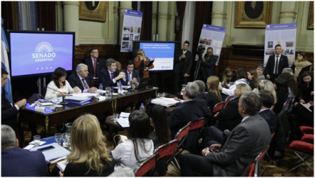 Yarade informó en el Senado de la Nación sobre el proyecto para reducir tarifas de servicios públicos