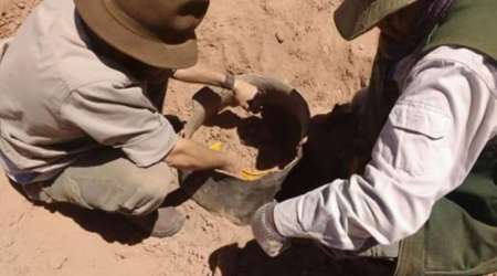 Encuentran restos de bebé con más de 1600 años de antigüedad