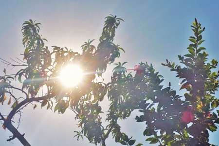 Durante la semana el sol será el protagonista