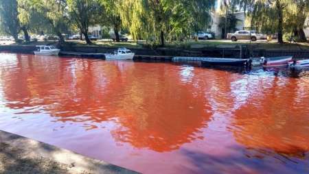 El Río Tigre amaneció rojo: creen que una empresa volcó químicos y preparan un allanamiento