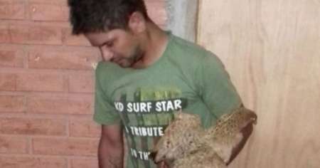 Borracho acabó preso por violar a una gallina