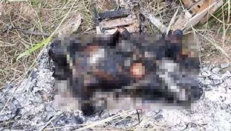 Macabro hallazgo: encuentran a una persona calcinada en la “Ruta de los Bagayeros”