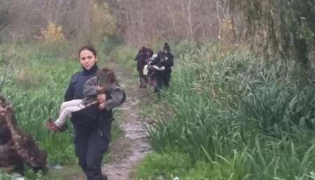 Encontraron a cinco hermanitos abandonados: estaban hambrientos y picados por las hormigas