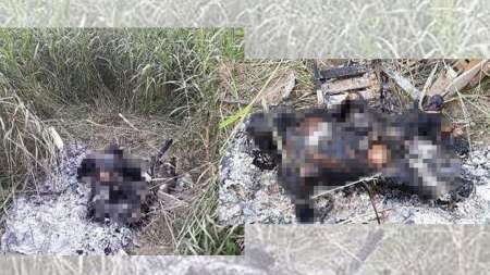 Detienen a un hombre por el hallazgo del cuerpo calcinado en Orán