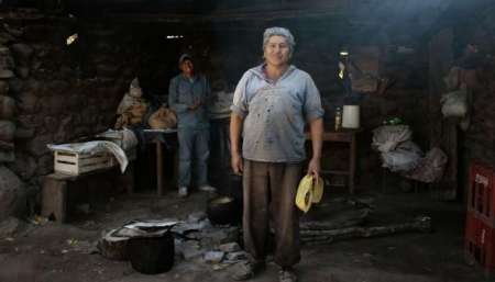 Don Ismael Burgos, pequeño productor agropecuario de los Valles Calchaquíes salteños. Foto: El Tribuno