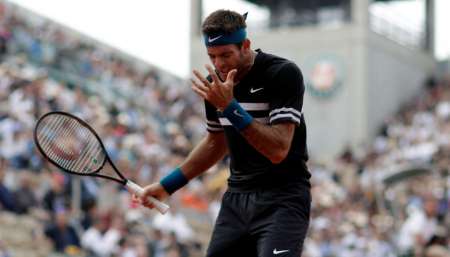 Del Potro pasó a semifinales de Roland Garros y enfrentará a Rafael Nadal