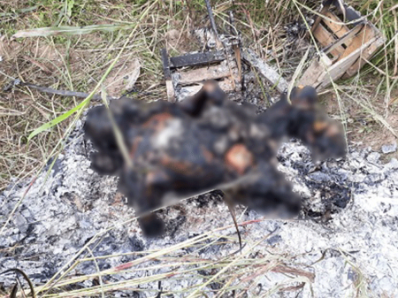 Cuerpo calcinado: El sereno detenido confesó el homicidio