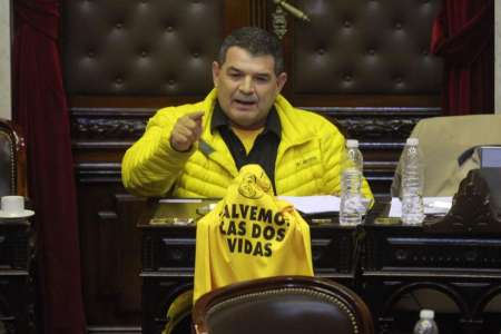 De Da Vinci a comparaciones con animales: las frases más picantes que dejó la media sanción del aborto