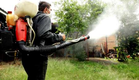 En medio de la epidemia de dengue cancelarían el programa de Control de Vectores