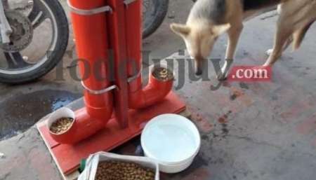 Fabricaron recipientes para que los perros de la calle se alimenten y los reparten por su ciudad
