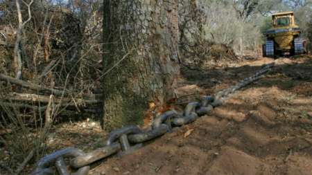 Afirman que los decretos de Urtubey sobre áreas protegidas fueron solo un “acto político”