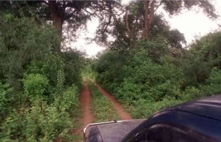 Desesperada búsqueda de cuatro niños que se perdieron en el monte