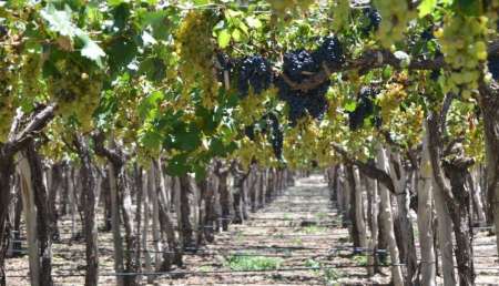 Agobiados por la crisis, productores pidieron soluciones a las autoridades