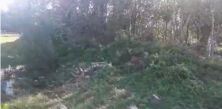 Abuso en un descampado