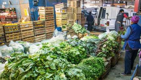 El atado de acelga llegó a venderse a $70. Andrés Mansilla. Foto: El Tribuno