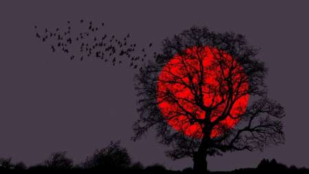 Eclipse lunar del 27 de julio de 2018: se viene la Luna de Sangre