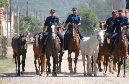 Dos presentaciones frenaron un remate de caballos y los animales serán entregados a APAN