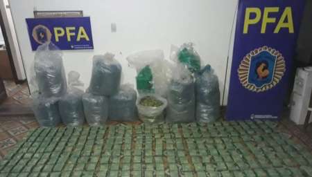 Incautaron unos 280 kilos de hojas de coca valuados en casi 900 mil pesos