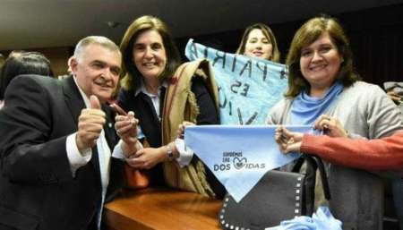 Por una resolución en la Legislatura, Tucumán se convirtió en la primera provincia “provida”