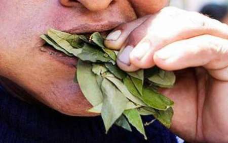 Narcolemia: “El consumo de las hojas de coca da positivo en el test”