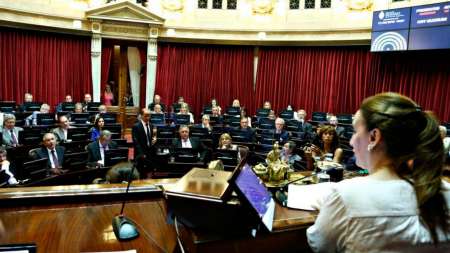 Gabriela Michetti trató de “pelotudo” a un senador en la sesión