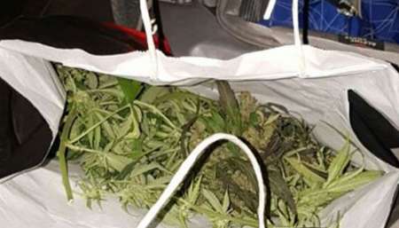 Un "profe" volvía de viaje con 36 chicos y fue detenido con droga