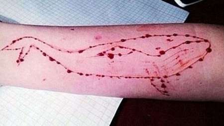 "La ballena azul", el siniestro juego por el que se suicidaron más de 130 adolescentes rusos