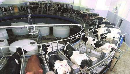 Grandes empresas reducen sus plantas de trabajadores temporarios