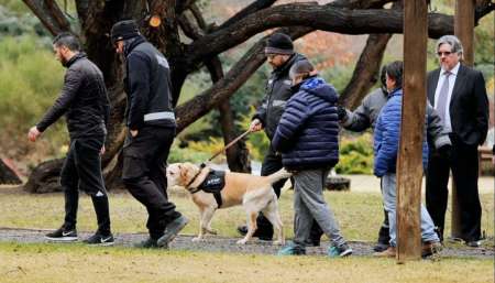 Reanudaron los allanamientos y se esperan nuevas pericias