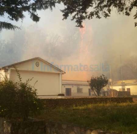 Imagen tomada de www.informatesalta.com.ar