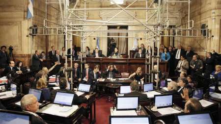 El Senado convirtió en ley, por unanimidad, el uso de cannabis medicinal