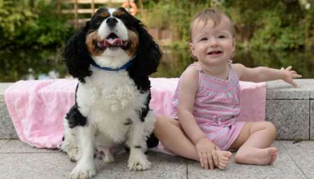 Héroe de cuatro patas: un perro salvó a una nena de morir ahogada en su cuna