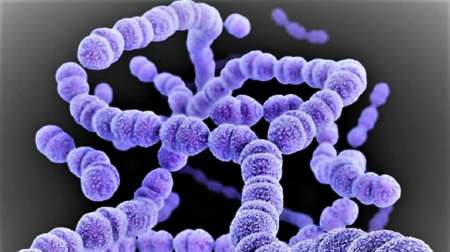 Confirman en Río Negro un sexto muerto por la bacteria