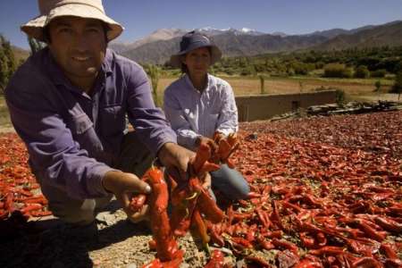 ¿A quiénes perjudican los despidos en la Secretaría de Agricultura Familiar de Nación?