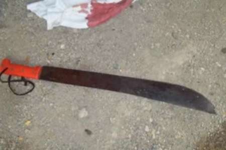 El hombre que mató a un perro con un machete quedó imputado