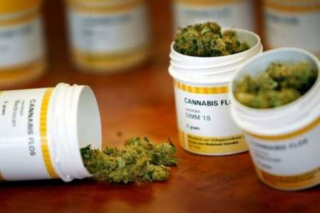 El Gobierno nacional promulgó la ley de cannabis para uso medicinal