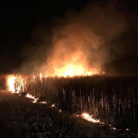 Tras la quema intencional de cañaverales, los nuevos propietarios del Ingenio San Isidro analizan retirarse